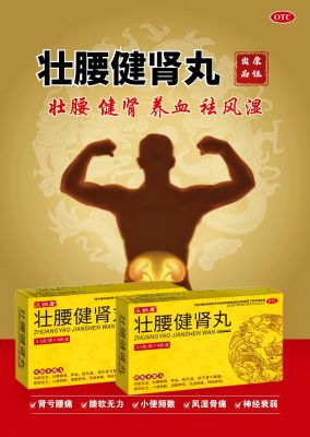 壮腰健肾丸